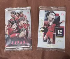 男子バレーボール日本代表 集合と高橋藍 2枚セット