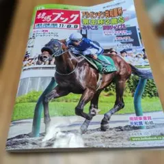 競馬ブック 11/8.9 アルゼンチン共和国杯