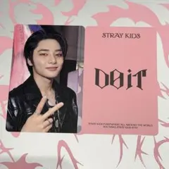 ♡Stray Kids POPUP DO IT フーディー封入トレカ アイエン