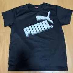 PUMA Tシャツ　スポーツウェア　150㎝