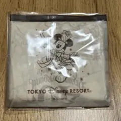 東京ディズニーリゾート　エコバッグ　カプセルトイ　40周年グランドフィナーレ