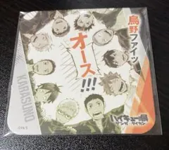 ハイキュー‼︎ コースター　ハイキュー展　ゲンガ×タイカン　烏野