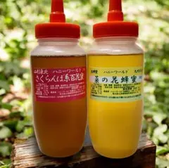 山形県産 さくらんぼ 紅秀峰 1kg 猫ママさん専用 - メルカリ