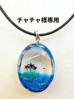 チャチャ様専用です