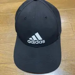 Item thumbnail for item 2635a69a-63f4-4305-bfb6-57d61e3290e7