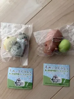 新品未開封品！すみっコぐらし東山動植物園のいきものたち