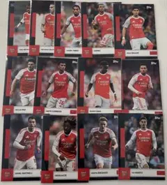 Item thumbnail for item 621b635f-9574-4d13-a107-19c90a91913d