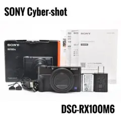 2026年最新】rx100m6の人気アイテム - メルカリ