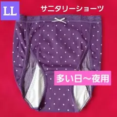 レディース サニタリーショーツ 多い日～夜用 LLのサムネイル