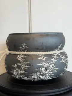 作家鉢植木鉢 W29cm 特大検（ 塊根植物 グラキリス パキプス アガベ) 作家鉢植木鉢 W26.5cm 特大検（ 塊根植物 グラキリス パキプス アガベ