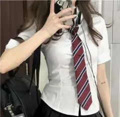 ホワイト 半袖シャツ ストライプネクタイ