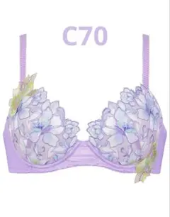 Wacoalワコールウイングレシアージュ　胸ふっくらやさしくフィットブラ　C70