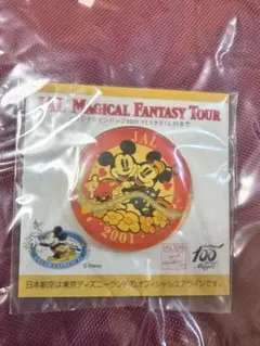 JAL ディズニー ピンバッジ 2002年 マジカルファンタジーツアー - メルカリ