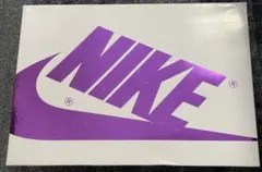 NIKE WMNS AIR JORDAN 1 HIGH OG purple