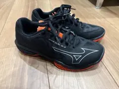 Item thumbnail for item 06a32bca-e1c3-40af-8e84-3766a42bb80e