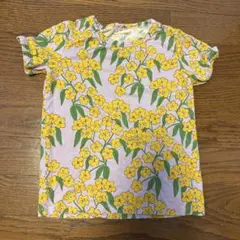 Item thumbnail for item 28cfacf8-ad04-4371-8019-ff2cabc41aec