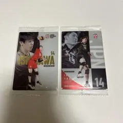 男子バレーボール ウエハース スペシャルイラストカード 石川祐希