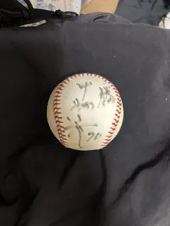 横浜DeNAベイスターズ中畑清監督時代 サインボール