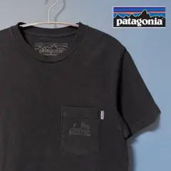 patagonia オーガニックコットンTシャツ 黒 Sサイズ ポケット