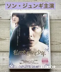 DVD 私のオオカミ少年　ソン・ジュンギ　　韓ドラ　レンタル　ラブロマンス