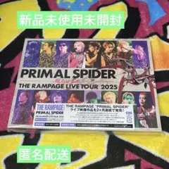 PRIMAL SPIDER 巡らせる糸 パネル 山本彰吾 - メルカリ