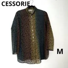 Item thumbnail for item 6013eb28-2ffc-4a45-bd0d-2539356f3417