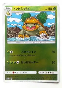 ポケモンカード プロモ ハヤシガメ LV.21 meiji - メルカリ