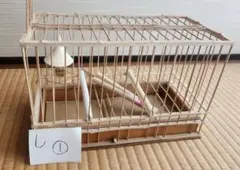 2025年最新】竹 鳥籠の人気アイテム - メルカリ