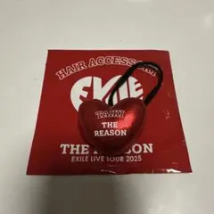 EXILE TAIKI ヘアゴム