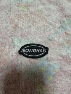 세븐틴 정한 패치
