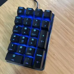 【値下げ】有線 テンキー 青色バックライト　MagicForce
