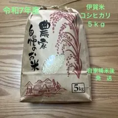 2026年最新】伊賀米コシヒカリの人気アイテム - メルカリ