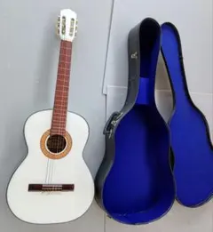 Item thumbnail for item 1c8a2e98-97a2-4375-a335-c2c2590df6ef