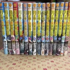 月が導く異世界道中 1-16巻セット