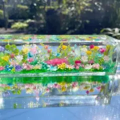 《専用ページ》