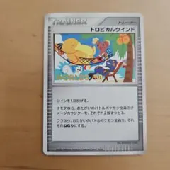 ポケモンカードゲーム ポケカ トロピカルビーチ 世界大会 WCS 2011