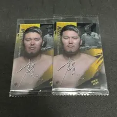 RIZINウエハース25 上田幹雄 2枚