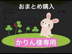 かりん様 リクエスト 4点 まとめ商品