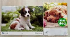 Item thumbnail for item 13cdb002-b0e2-4873-b645-05c9935f04c2