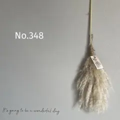 No.348 ハロウィンのほうき×パンパスグラスのスワッグ