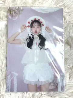 LARME FRUITS ZIPPER ポストカード 松本かれん