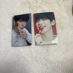 txtスビン sanctuary ランダムトレカ