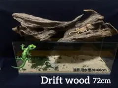 Item thumbnail for item 01b7732e-0cfd-4a57-b56a-db3d6a6d8809