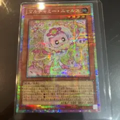 マルチャミーニャルス