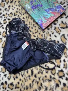 エメフィール 完売モデル　L