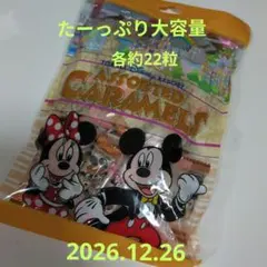 東京ディズニーリゾートアソートキャラメル　チョコレート＆ミルクのサムネイル