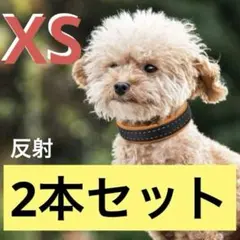 2本セット✨猫・犬の首輪 セーフティバックル 反射ストラップ ハーネス