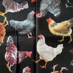 Item thumbnail for item 8498f964-b8df-4b4e-9707-f671c3717bef