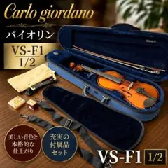 Carlo giordano バイオリン NO.14 vs-1 3/4 - メルカリ