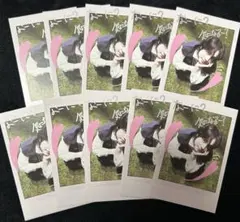 &TEAM TAKI Back to Life トレカ 10枚